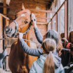 Pferdeputztasche Pferd putzen im Stall